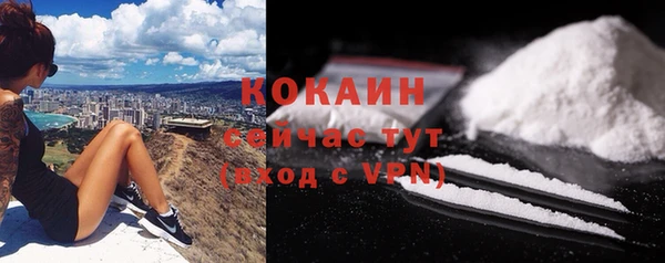 прущие крисы Абаза