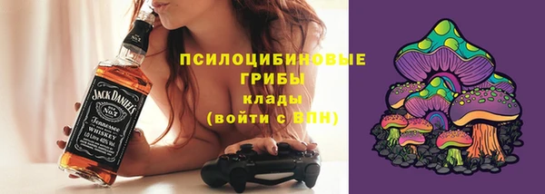 прущие крисы Абаза