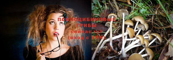 прущие крисы Абаза