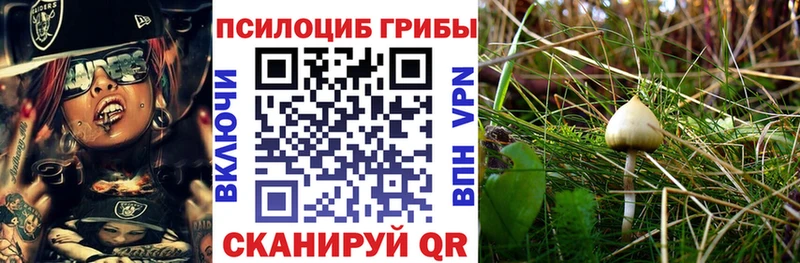 Галлюциногенные грибы Cubensis  цена наркотик  Монино 